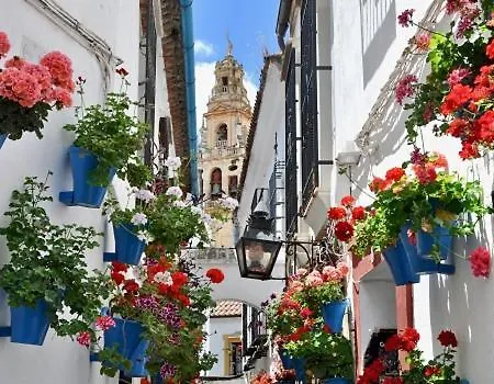 아파트 El Patio De Cruz Conde *